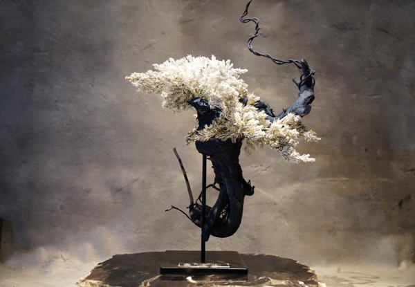 RE BONSAI】 ART×盆栽 | CIENTO BLOG