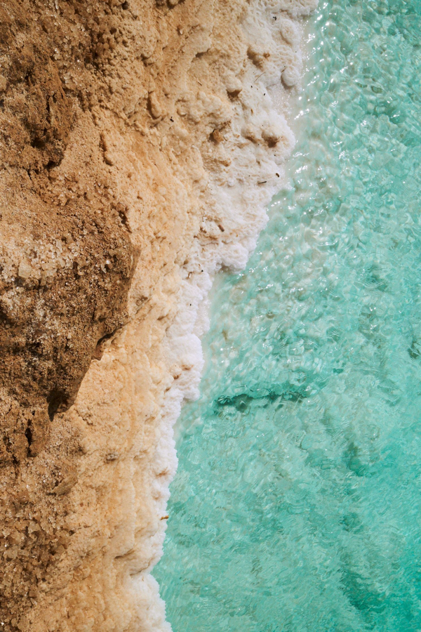 特値seya.セヤ サマーヘリンボーンウールショーツ 特値seya.セヤ