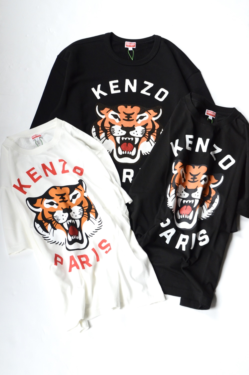 KENZO】いよいよお披露目です | CIENTO BLOG