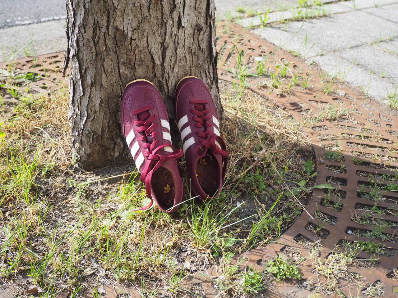 adidas】JAPAN DECON W – Shadow Red – | CIENTO BLOG