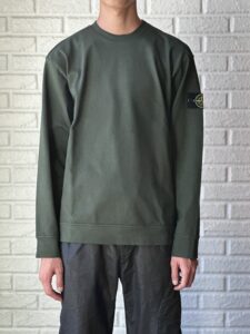 色物STONE ISLAND | CIENTO BLOG